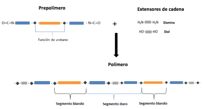 Reacciones químicas producidas entre el prepolímero y los extensores de cadena